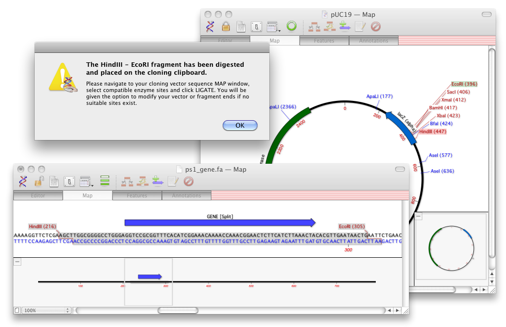 MV12_Cloning.png MV12_Cloning.png