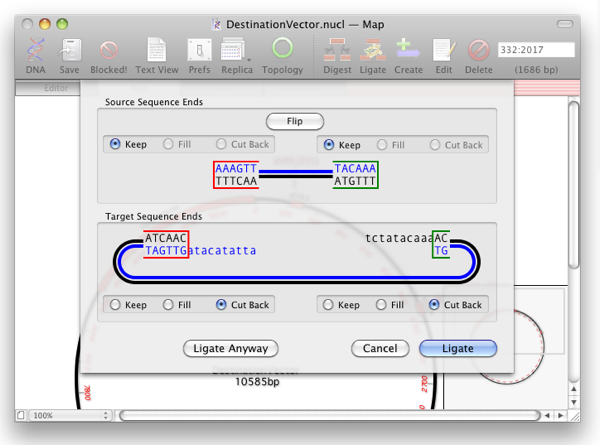 MultiwayGatewayEndLigationDialogue