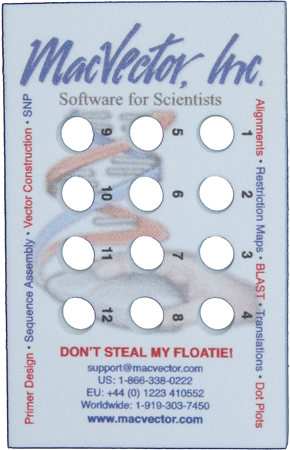 FloatiePhotoCropped+Resized+rotated