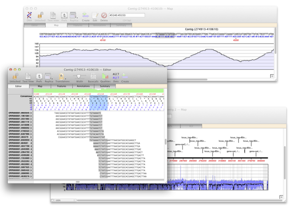 MV125 BowtieOverview