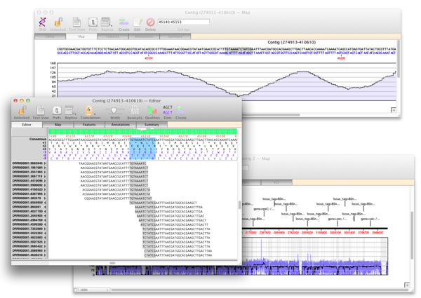 MV125 BowtieOverview