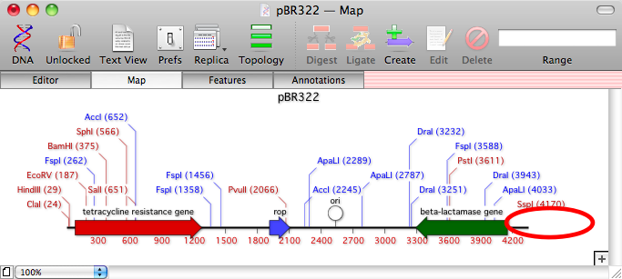 pBR322reallylinear.png