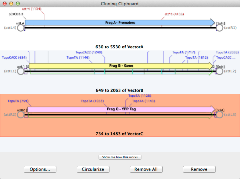 Fig4 Cloning Clipboard