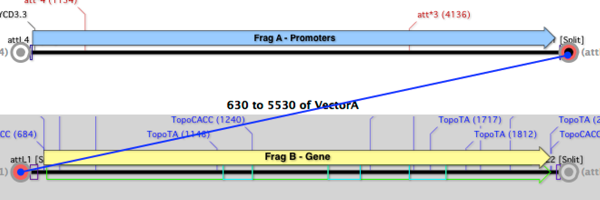 Fig5 CloningClipboard