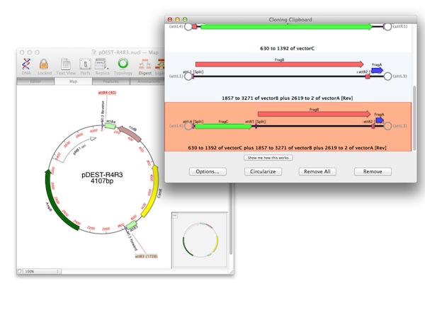 Fig7 Cloning Clipboard 1