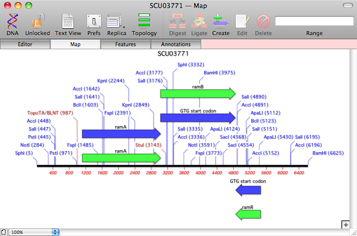 SCU03771 ― Map.png