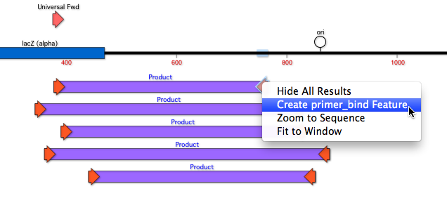 Primer3CreateFeature.png