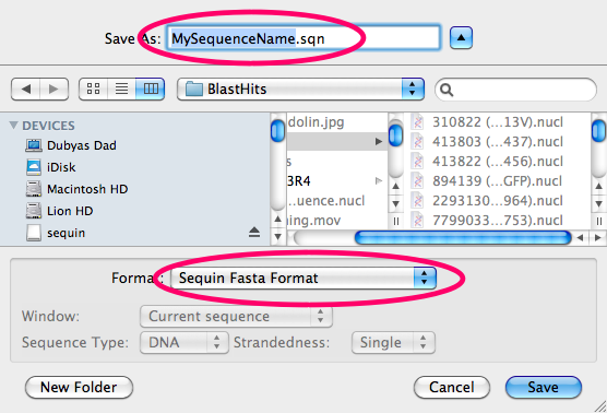 SaveSequinFasta.png