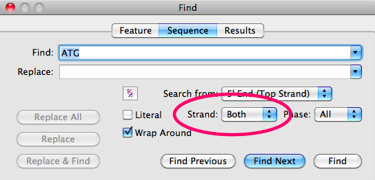FindBothStrands.png
