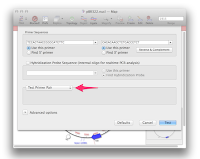 Primer Design Primer3 and pBR322 nucl Map