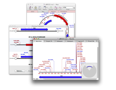 PBR322 nucl Results and Cloning Clipboard and pBR322 nucl Map and Microsoft Word
