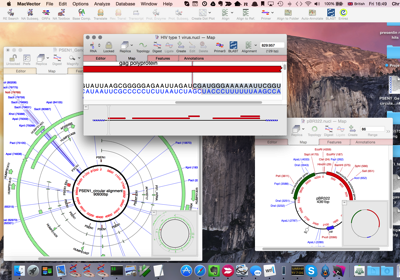 Screenshot 17 10 2014 16 49