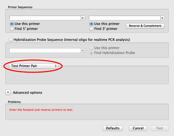 PrimerDesignTest.png PrimerDesignTest