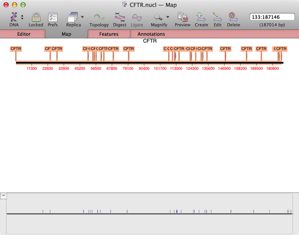 CFTR-CDS-allselectedMap.png CFTR CDS allselectedMap