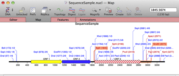 APairOfHilitedRESites.png APairOfHilitedRESites