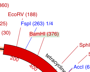 BamDoubleHilite.png BamDoubleHilite