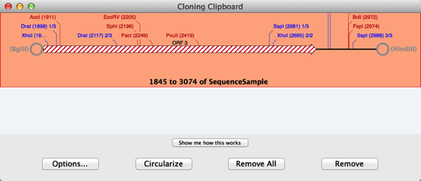Cloning_Clipboard.png Cloning Clipboard
