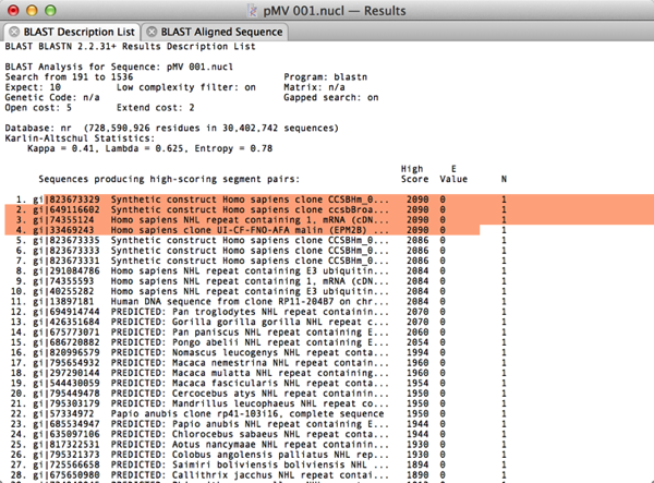 pMV_001BlastResults.png PMV 001BlastResults