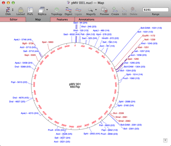 pMV_001before.png PMV 001before