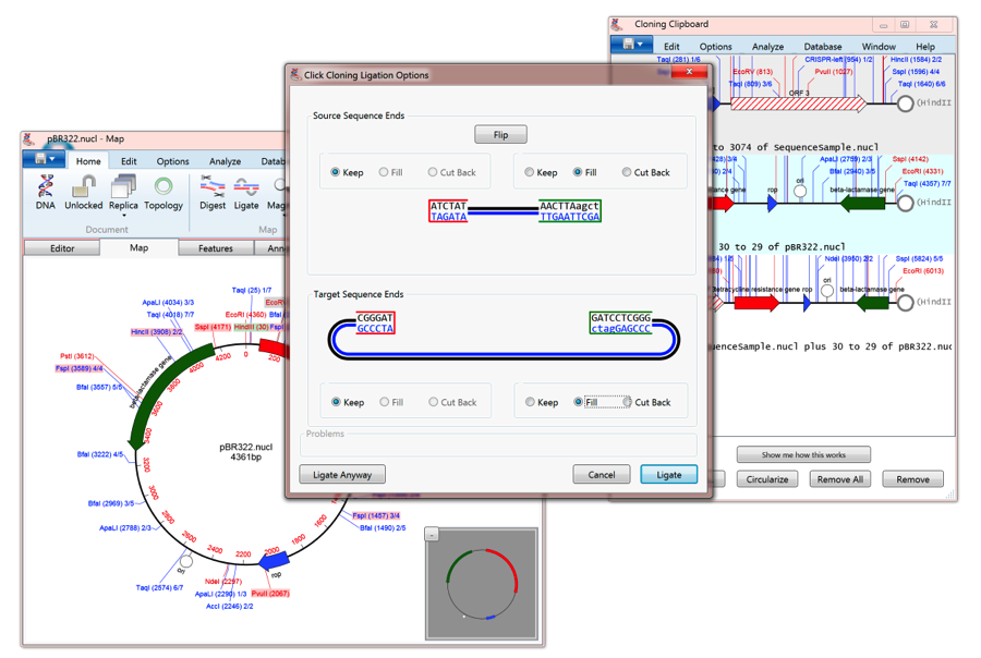 MV4WIN Ligation Dialogue