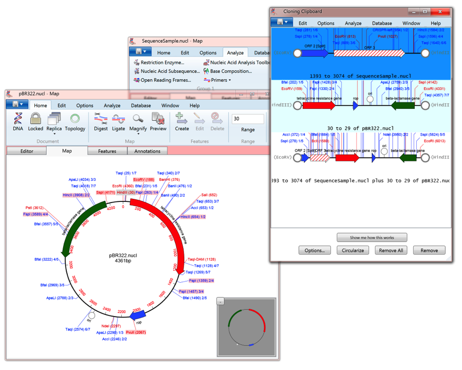 MV4WIN cloning Clipboard