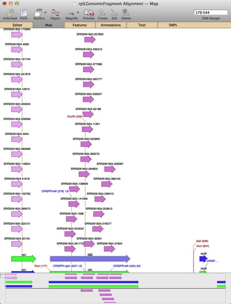 OverlappingFeaturesFixed