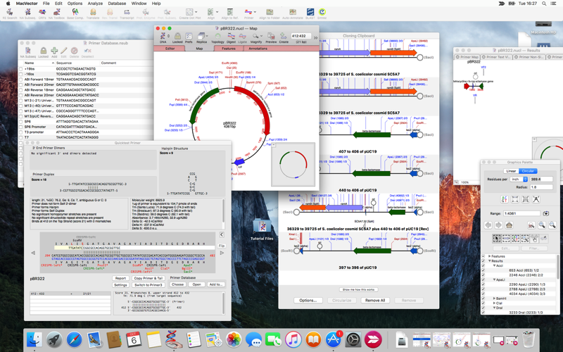 ElCapitan.png ElCapitan