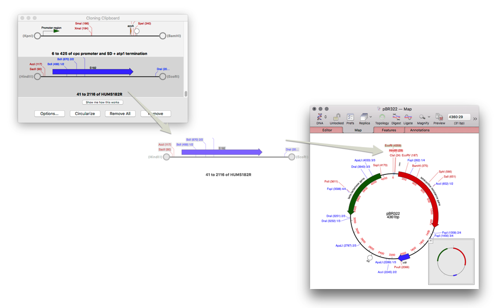 Screenshot 16 12 2015 17 26