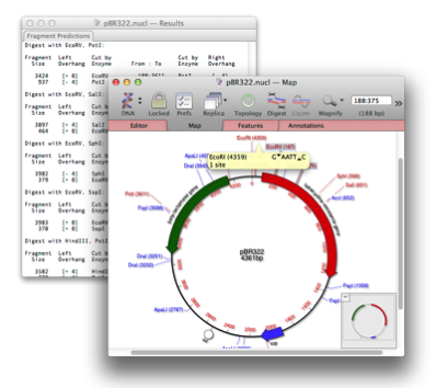 NewImage.png NewImage