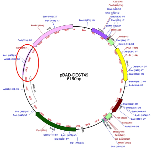 NewImage.png NewImage