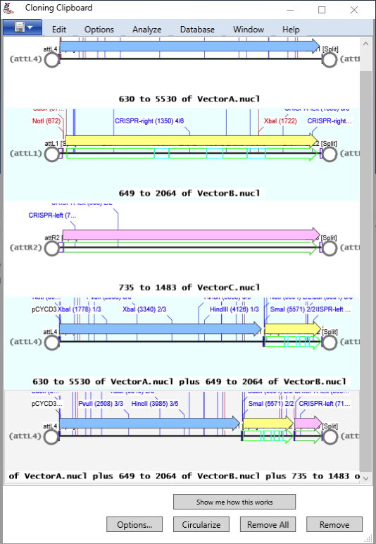 CloningClipboard2