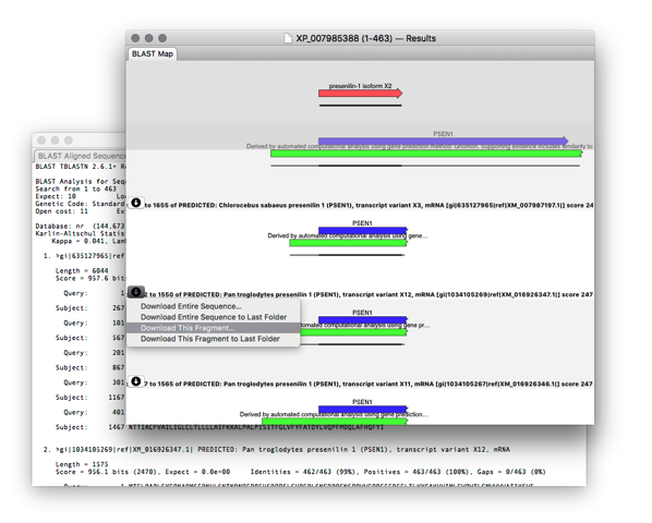 BLAST_MapResults.png BLAST MapResults