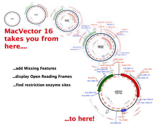 Scan for Missing Features workflow v2