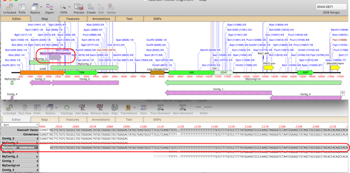 NewImage.png NewImage