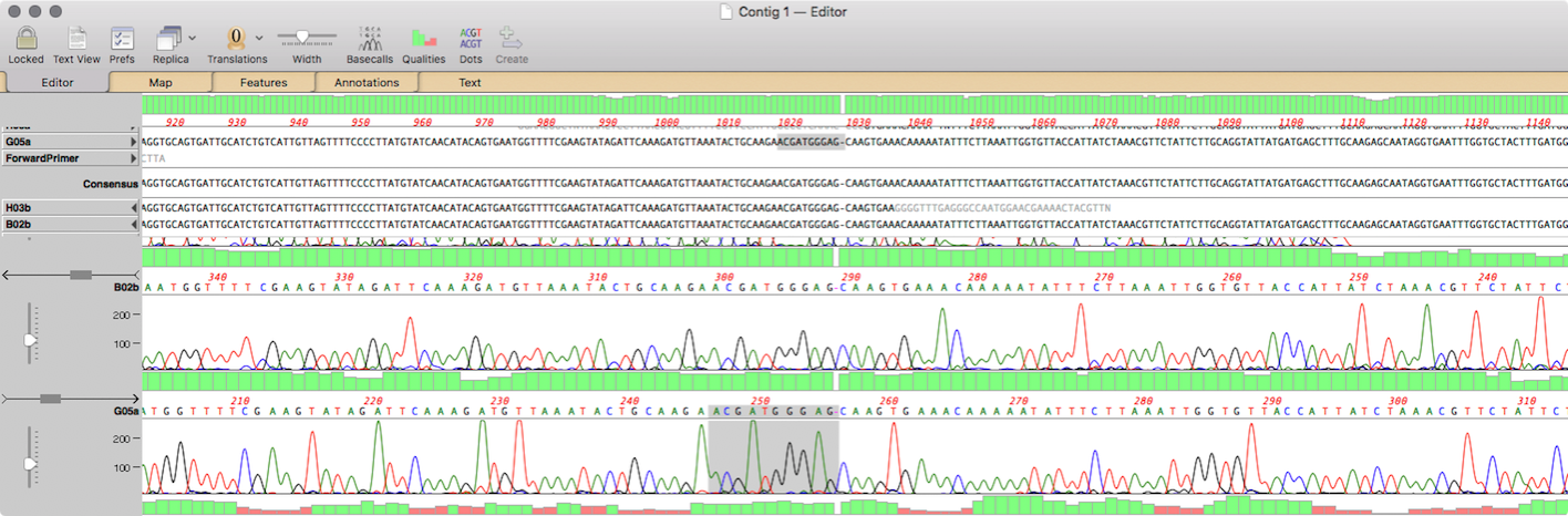 NewImage.png NewImage