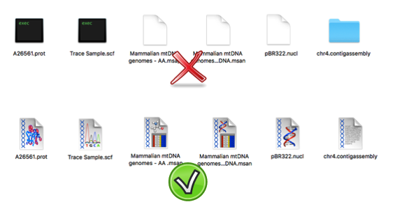 NewImage.png NewImage