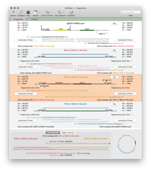GibsonCloning.png GibsonCloning